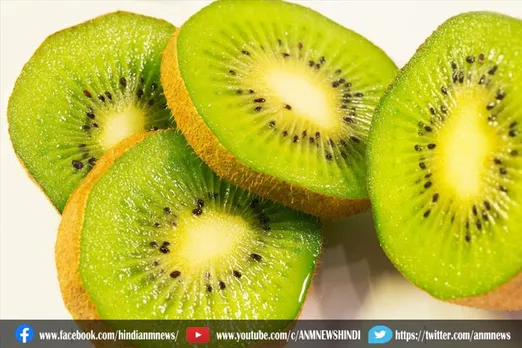 Kiwifruit को खाने से मिलते हैं ये जबरदस्त फायदे