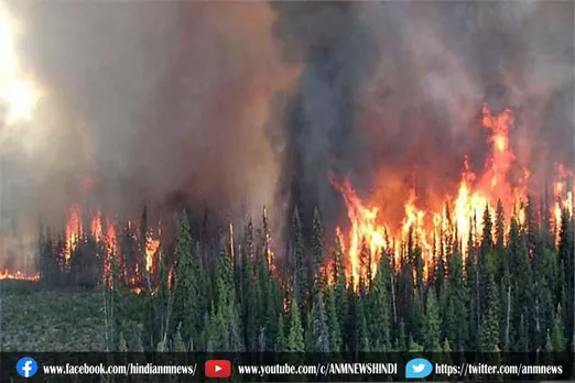 ब्रिटिश कोलंबिया के जंगलों में लगी भीषण आग