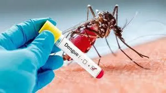 हरियाणा में डेंगू का डंक
