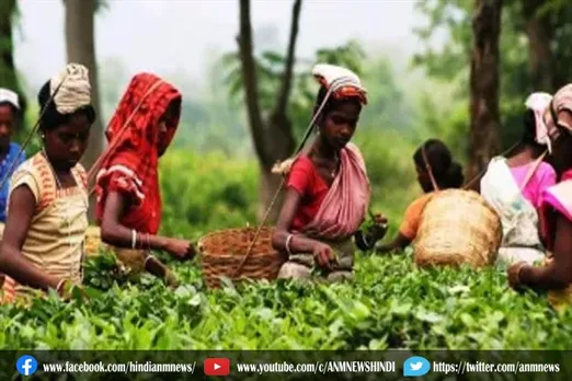 अलीपुरद्वार में वेतन में देरी को लेकर चाय कर्मियों का प्रदर्शन