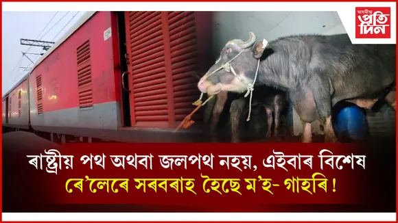 নিউ গুৱাহাটীত আবদ্ধ ৪ শ ম’হৰ গৰাকীৰ সন্ধান নাই