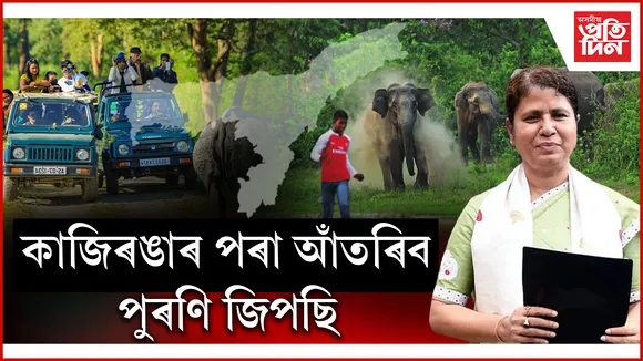  হাতী-মানুহৰ সংঘাত হ্ৰাসৰ বাবে বিশেষ পদক্ষেপঃ বনমিত্ৰ, গজমিত্ৰ আঁচনি ঘোষণা বিত্তমন্ত্ৰীৰ...   