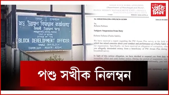 পশু সখীক নিলম্বন