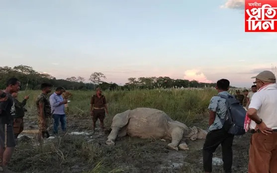 ওৰাং ৰাষ্ট্ৰীয় উদ্যানত বাৰ্ধক্য জনিত কাৰণত মৃত্যু এটি মতা গঁড়ৰ 