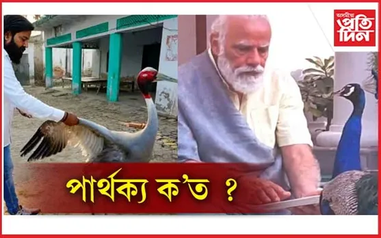 চৰ্চিত! কিয় ন্যায়ী যুঁজত আৰিফ...