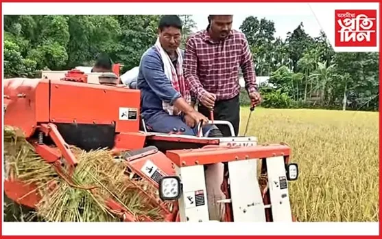 ৰাজনীতিৰ পথাৰ এৰি কৃষকৰ পথাৰলৈ সাংসদ প্ৰদান বৰুৱা... 