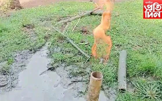কৰিমগঞ্জত মাটিৰ তলৰ পৰা ওলাইছে জ্বলনশীল গেছ