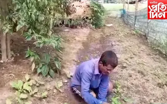 চিলাপথাৰৰ কৃষকলৈ ৰাষ্ট্ৰীয় বঁটা...