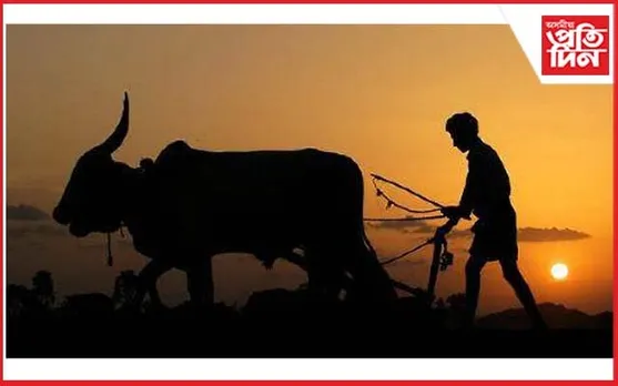 হায় অন্নদাতাৰ বিলৈ ! ঋণৰ বোজা সহিব নোৱাৰি ৭ কৃষকে বাছি ল'লে চৰম সিদ্ধান্ত