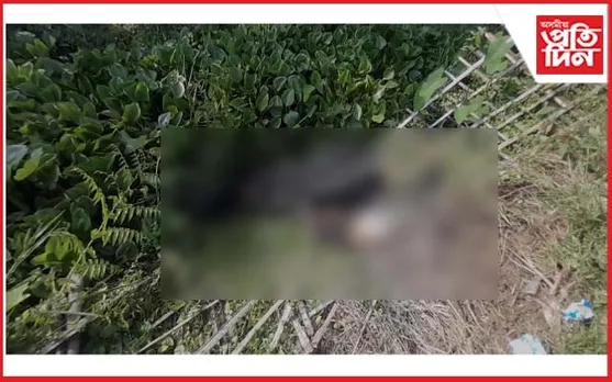 বাইক দুৰ্ঘটনাত নিহত ২ যুৱক