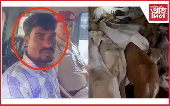 বাইহাটা চাৰিআলিত গৰুভৰ্তি কন্টেইনাৰ ট্ৰাক জব্দ : চালকক আটক
