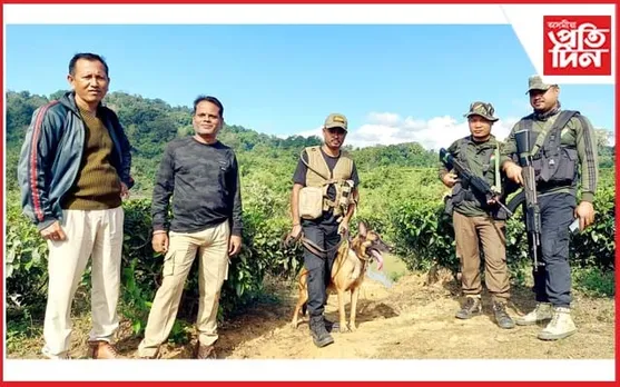 কলিয়াবৰৰ চাহ বাগিচাত হাতে-হাতে মাৰণাস্ত্ৰ লৈ যুৱকৰ মুক্ত বিচৰণ 