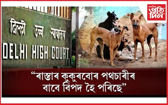 জীৱ-জন্তুক খাদ্য দিয়া ভাল কথা, কিন্তু ইয়ে খাদ্য বিচৰা ক্ষমতা নোহোৱা কৰিছেঃ দিল্লী উচ্চ ন্যায়ালয় 