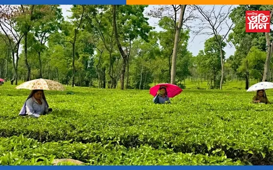 ৬ ফেব্ৰুৱাৰীত অসম চাহ বাগিচা ধন পুৰস্কাৰ আঁচনিৰ তৃতীয় পৰ্যায়ৰ বিতৰণী অনুষ্ঠান…