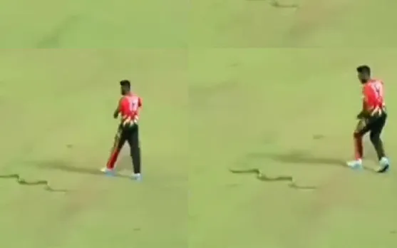 WATCH: B-Love Kandy fielder Isuru Udana narrowly escapes from snake during match against Jaffna Kings in LPL 2023