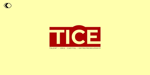 400% Growth in Organic Clicks and Impressions for Tice with Publive