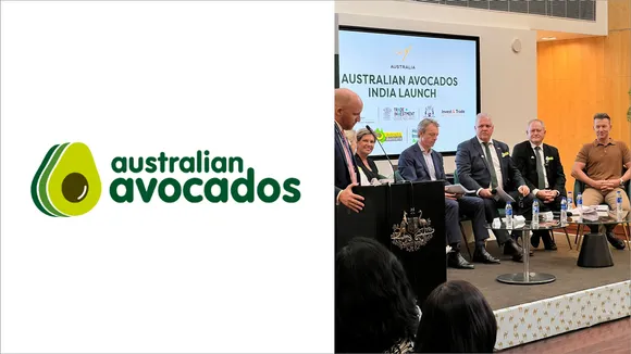 Australian avocados enter India with Brett Lee as ambassador