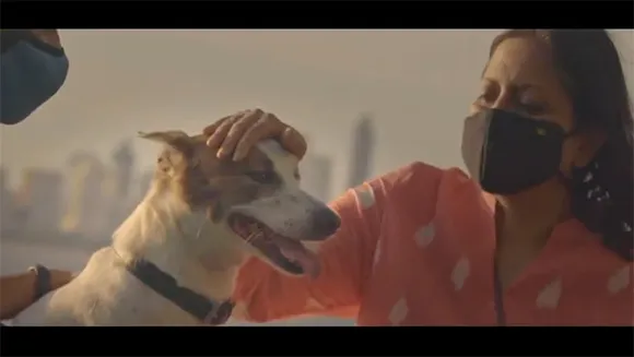 Welfare of Stray Dogs launches a campaign '#VocalForLocals Don't buy a dog. Adopt an Indie' 