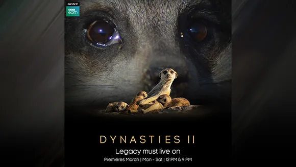 Sony BBC Earth launches second season of 'Dynasties' series