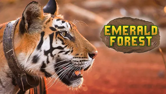 Epic to launch 'Emerald Forest', a docu-series on return of tigers in Panna National Park