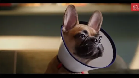 Future Generali India Insurance unveils campaign to highlight importance of 'dog health insurance' 