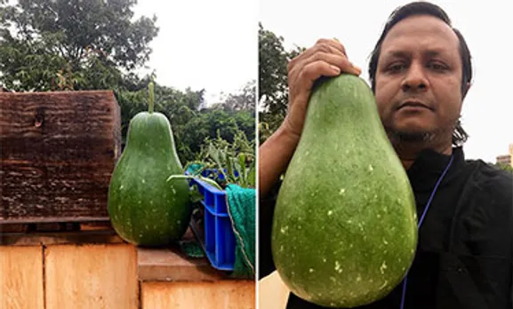 After Hours: Rahul Jauhari and his organic terrace garden