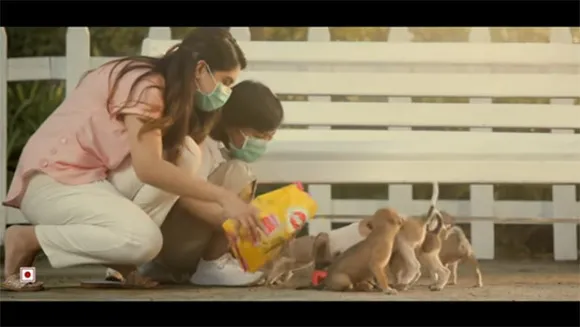 Pedigree India's campaign urges to ensure stray dogs don't go hungry