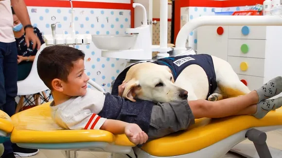 Ecuador's Dental Dog Aldo Wins Hearts, Eases Kids' Dental Fears