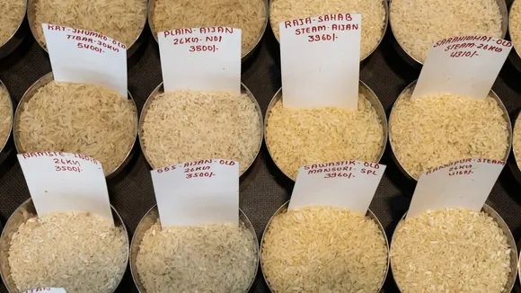 Global Rice Crisis Escalates: India's Export Ban Shakes Markets, Threatens Food Security