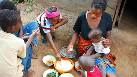 Zambia's Nutritional Shift: Embracing Diverse Carbs for Health and Food Security