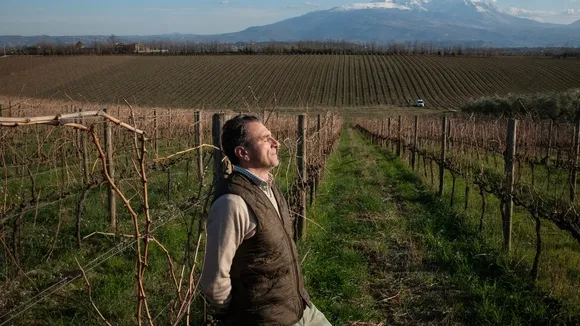 Abruzzo's Wine Renaissance: New Era of Quality and Diversity Emerges in Italy