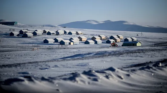 Mongolia's Winter Catastrophe: Over Two Million Animals Perish Amid Severe Weather Conditions