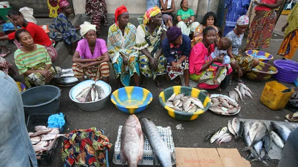 Fish Scarcity in Nkhata Bay Leads to Sexual Exploitation of Women Traders
