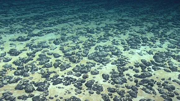 The Unseen World at Risk: The Hidden Threat of Deep-Sea Mining