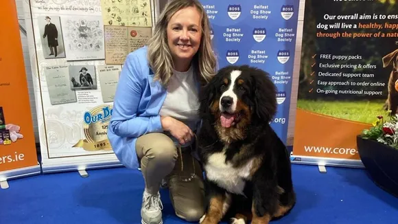 Cheeky Bernese Mountain Dog, Ruby, Prepares for Crufts Debut After Nearly Starting Fire