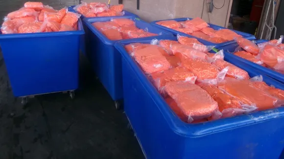 Massive Meth Bust in Carrot Shipment at US-Mexico Border: Driver Detained