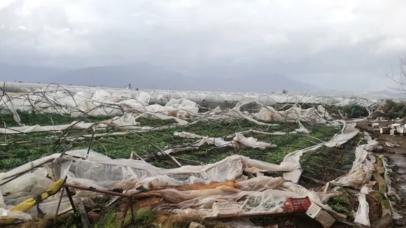 Twin Tornadoes and Torrential Rains Devastate Antalya, Impacting Agriculture and Economy