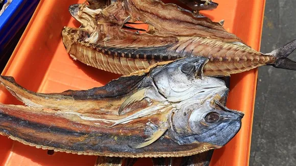 Taiwan Halts Japanese Dried Fish Over Carcinogenic Benzo[a]pyrene Levels, Tightens Import Checks