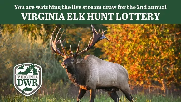 Virginia's 3rd Annual Elk Hunt Lottery Opens: Conservation & Hunting Opportunities Unite