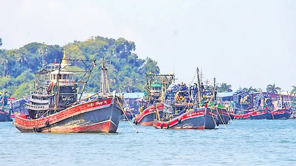 Myanmar Takes Bold Step to Protect Marine Life: Halts New Offshore Fishing Licences in Taninthayi Region
