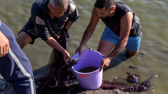 Revolutionizing Tilapia Welfare in Egypt: ESR and FAI Launch Groundbreaking Project