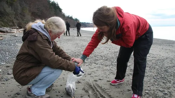 Citizen Scientists Spearhead Forage Fish Conservation on Whidbey Island