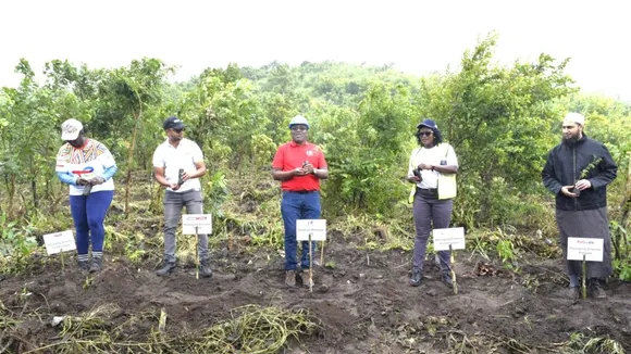 Petroleum Importers Limited Plants 6000 Trees at Soche Mountain, Blantyre