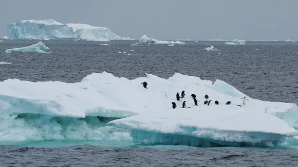 Unprecedented Heat in North Atlantic, Record Low Antarctic Ice Reveal Climate Anomalies