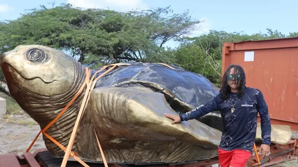 Eagle Beach Roundabout Transformed: Monumental Leatherback Turtle Sculpture Unveiled