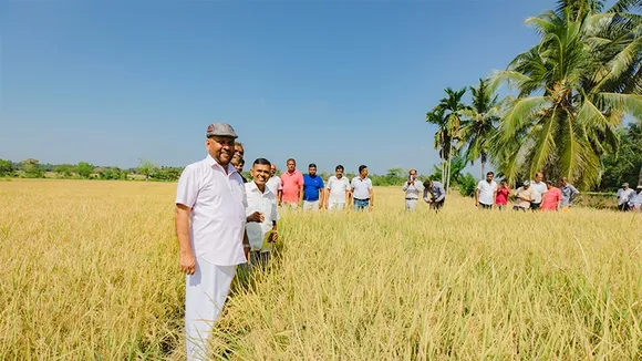 Revolutionizing Rice Cultivation: Keeri Samba's Triumph in Hambantota District