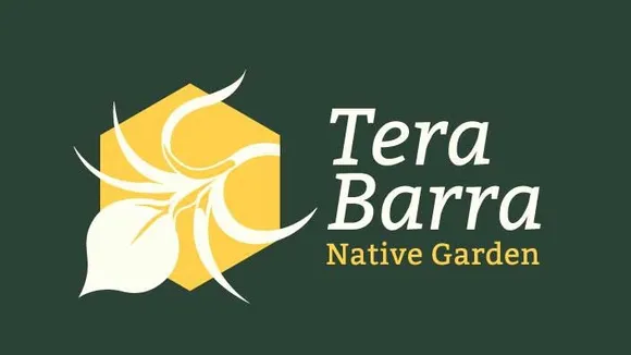 Tera Barra Foundation Launches Digital Auction for Bonaire's Reforestation