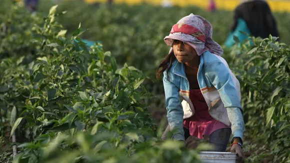 Concerns Mount as Lawmakers Seek to Relax Child Labour Laws, Allowing Riskier Work for Minors