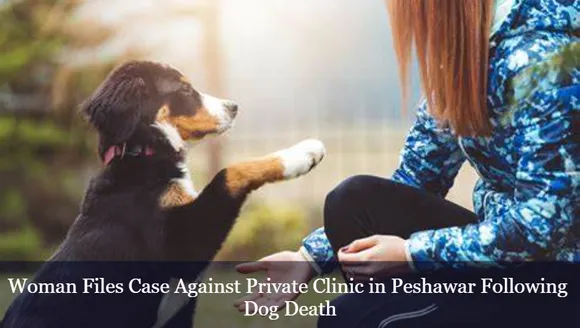 Woman Files Case Against Private Clinic in Peshawar Following Dog Death