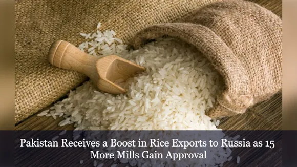 Pakistan Receives a Boost in Rice Exports to Russia as 15 More Mills Gain Approval